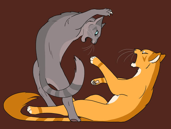 catfight.jpg