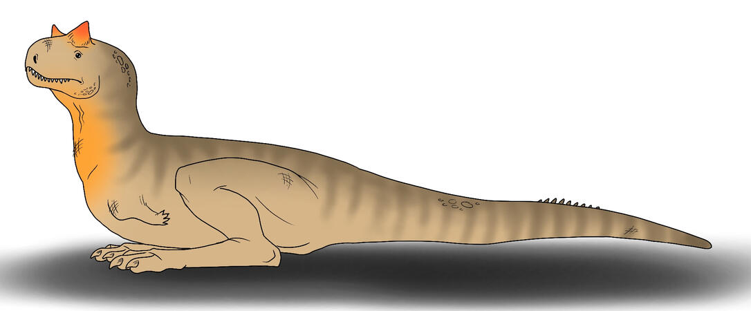 carnotaurus.jpg