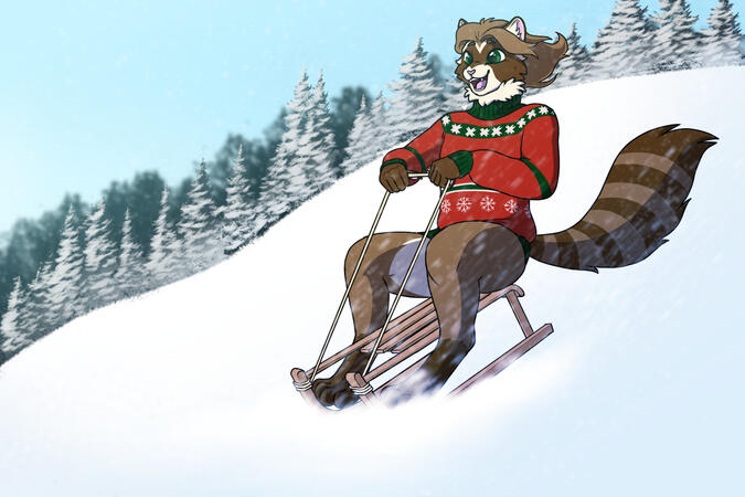 hallow sledding com.png